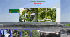 Desktop Screenshot of flora.na-more.su