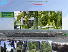 Tablet Screenshot of flora.na-more.su